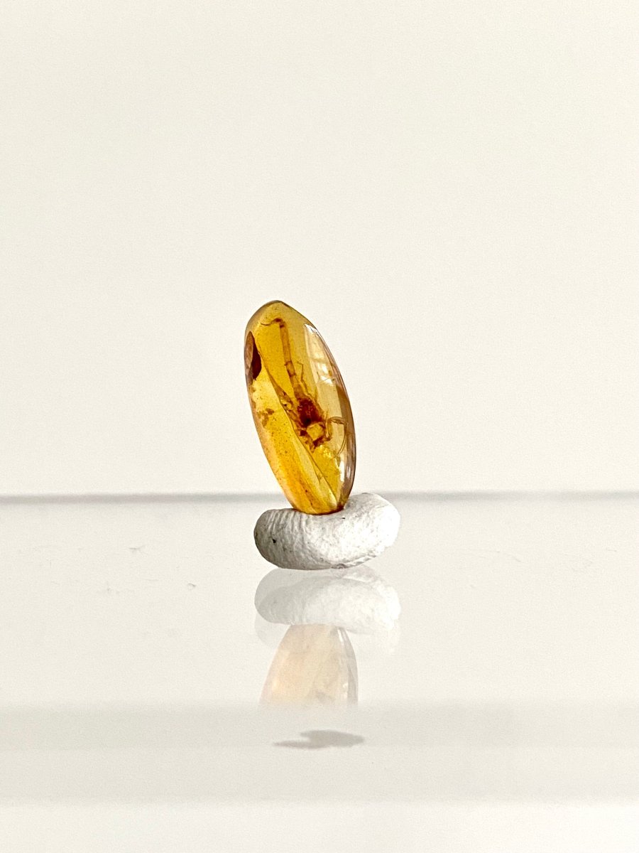 0.57" Burmese Amber with small scorpion species insect - FossilsAndMore