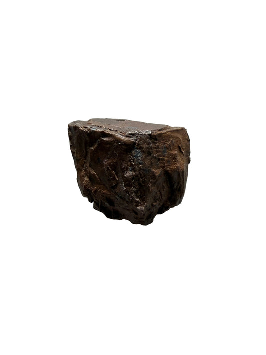 Triceratops Fossil Tooth Fragment | 0.47"