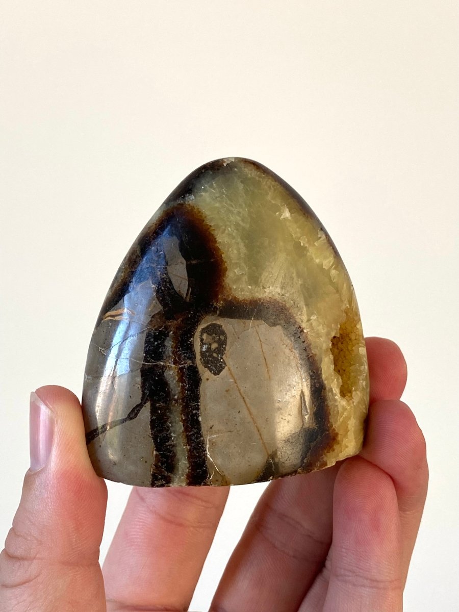 2.62" Septarian sculpture from Madagascar - FossilsAndMore