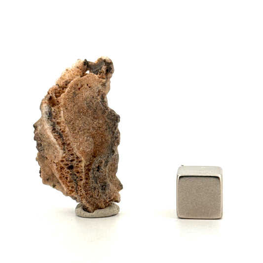 Fulgurite a Natural Glass Formed by Lightning | 1.36"