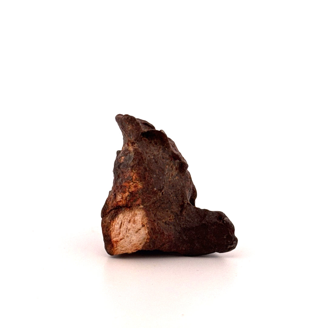 Gebel Kamil Iron Meteorite fragment from Egypt (66 Grams)