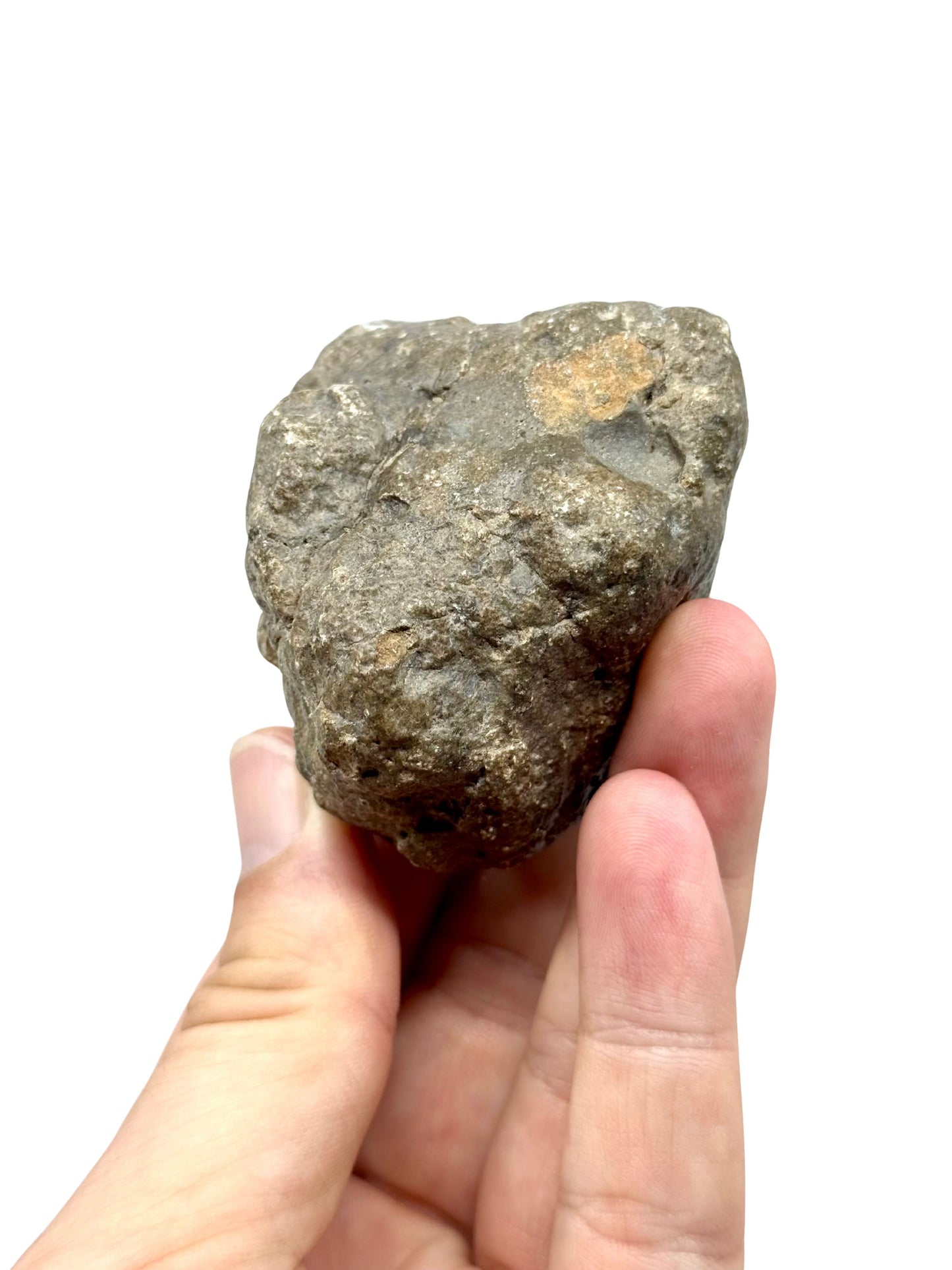 Asteroide Vesta Fragment (255 Gram) – Jikharra 001 (Eucrite Melt Breccia)