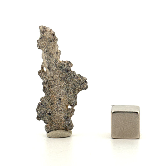 Fulgurite a Natural Glass Formed by Lightning | 1.46"