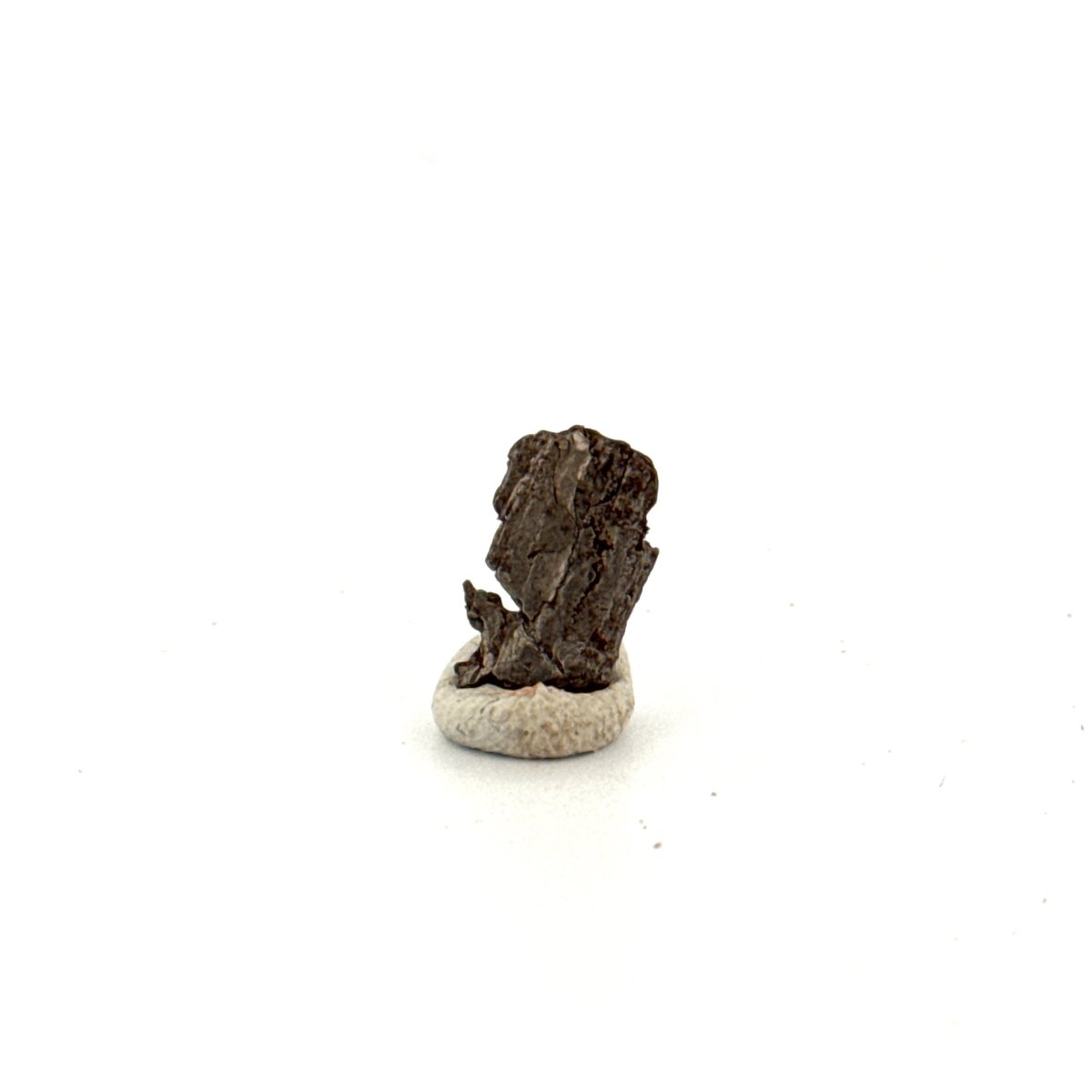 Aletai meteorite fragment (0.52") from China - FossilsAndMore