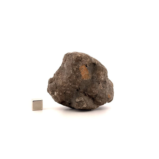 Asteroid Vesta Fragment (255 Grams) – Jikharra 001 (Eucrite Melt Breccia) - FossilsAndMore