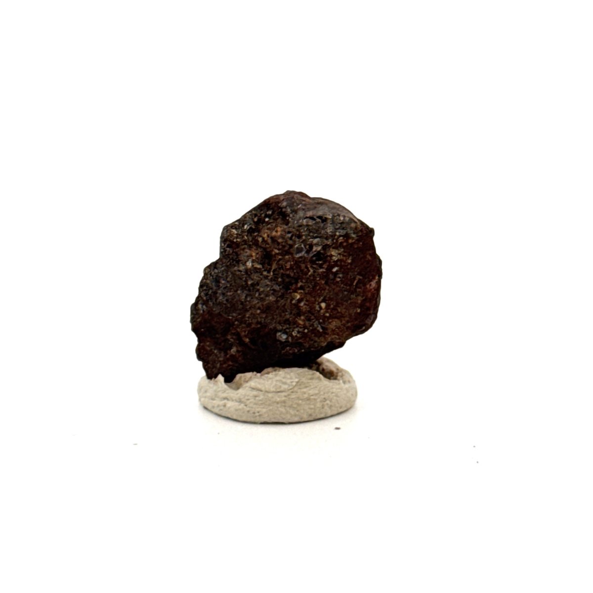 Authentic raw Sericho Pallasite Meteorite Fragment from Kenya (0.80") - FossilsAndMore