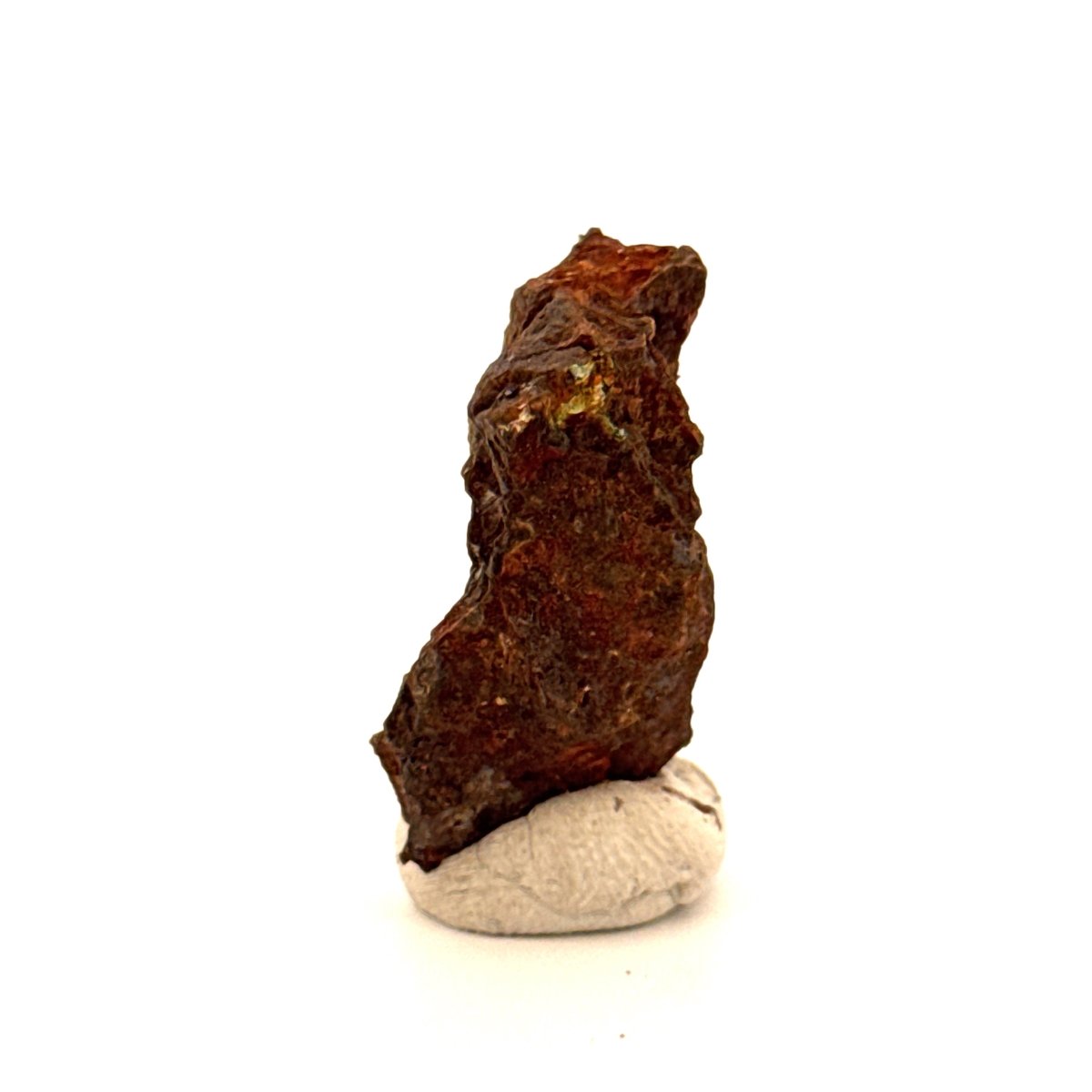 Authentic raw Sericho Pallasite Meteorite Fragment from Kenya (1.18") - FossilsAndMore