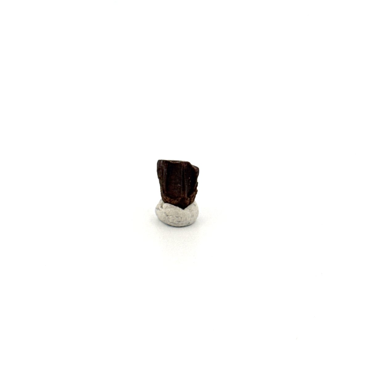 Edmontosaurus Fossil Tooth Fragment (0.29") - Cretaceous, Hell Creek Formation, USA - FossilsAndMore