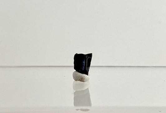 Edmontosaurus Fossil Tooth Fragment (0.34") - Cretaceous, Hell Creek Formation, USA - FossilsAndMore