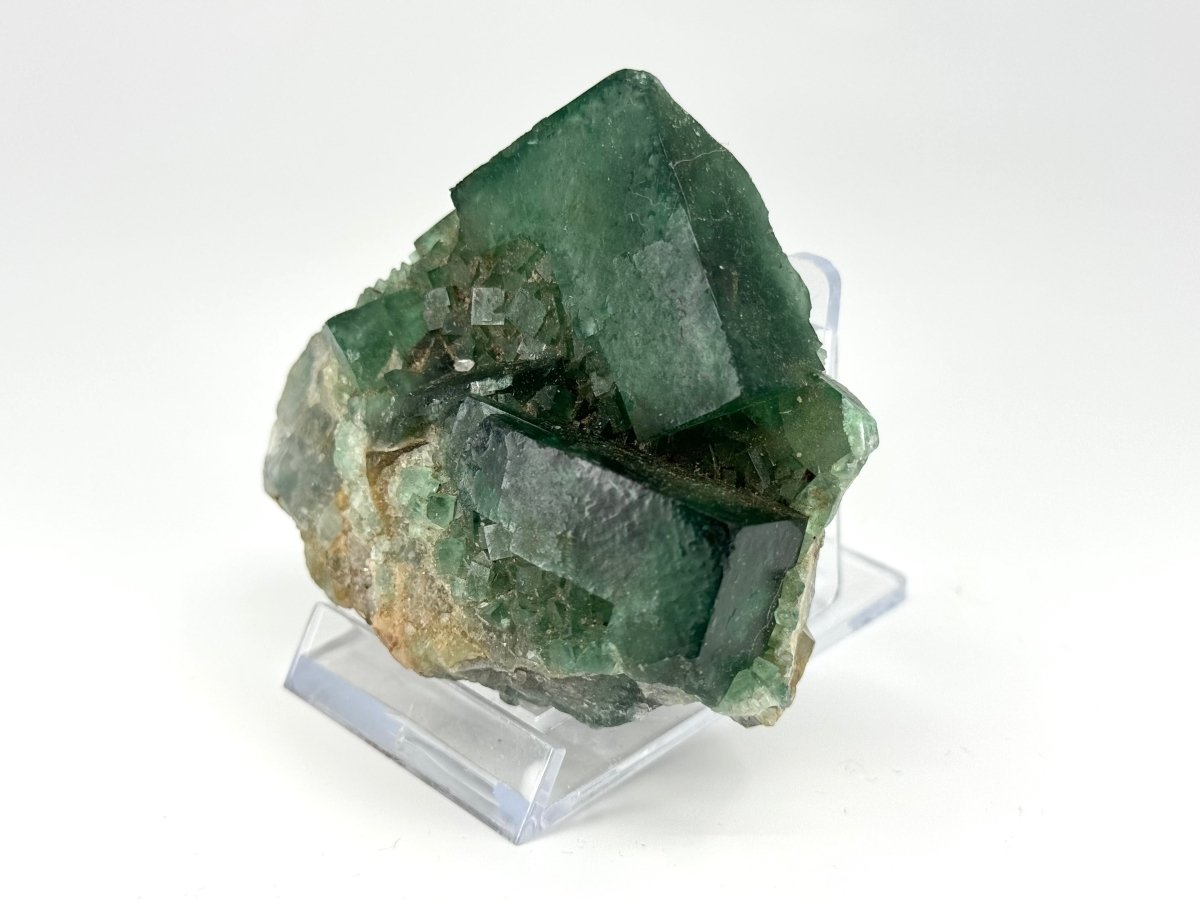 Fluorite Crystal Cluster from Madagascar - 214 Grams - FossilsAndMore
