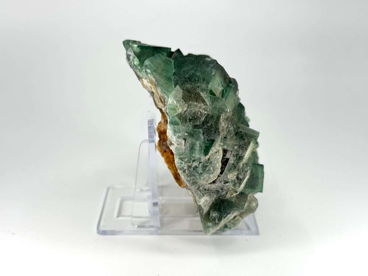 Fluorite Crystal Cluster from Madagascar - 340 Grams - FossilsAndMore