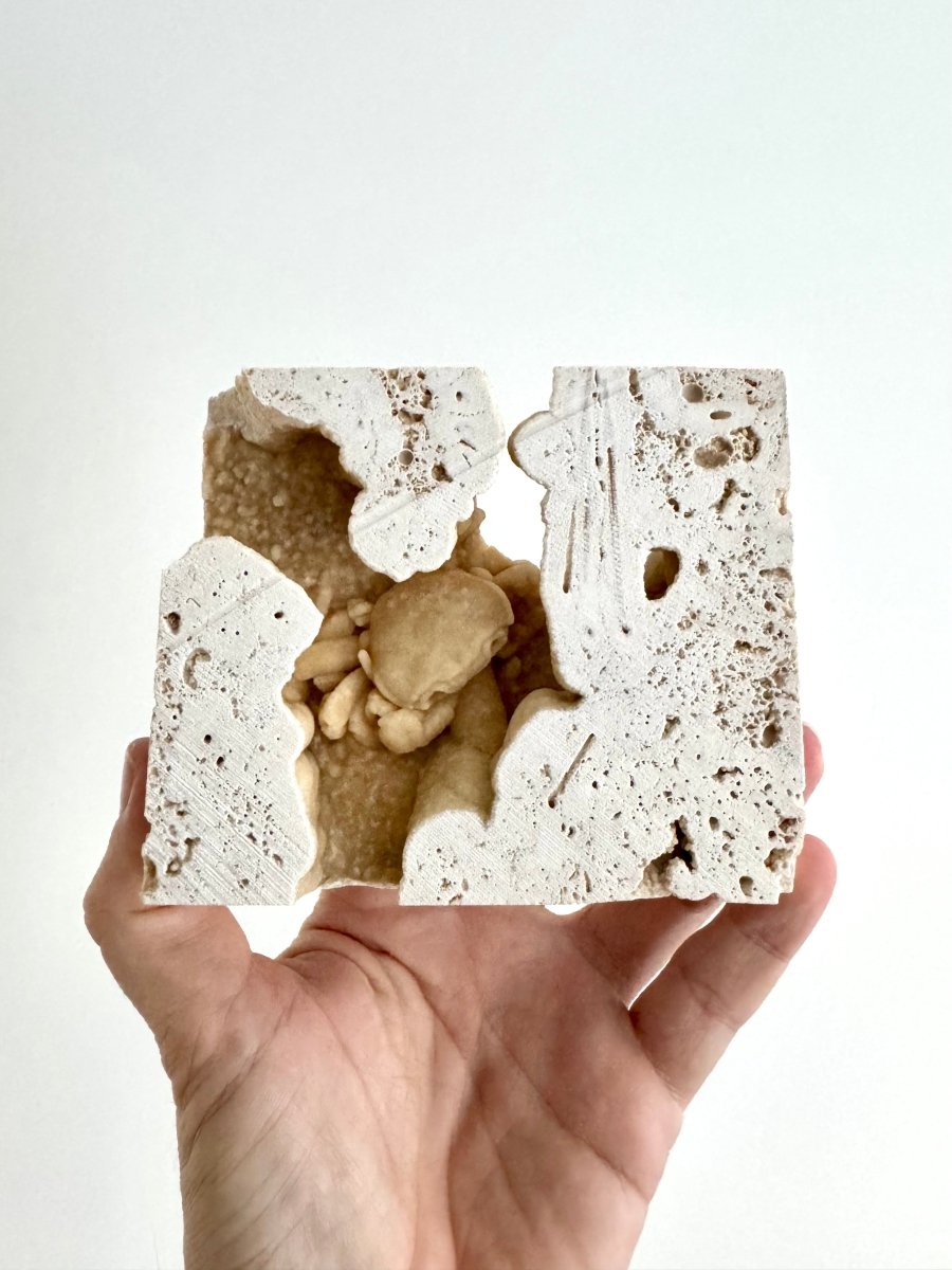 Potamon Fossil Crab on Travertine Matrix (2.10") – Pleistocene period, Turkey - FossilsAndMore
