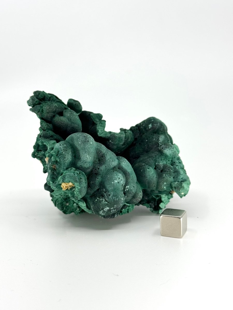 Raw Malachite Mineral (230 Grams) – Natural Copper Carbonate - FossilsAndMore