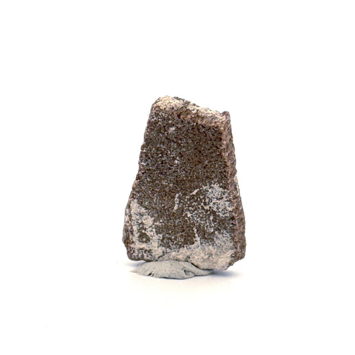 Saltasaurus Dinosaur Eggshell Fossil (1.32") from Cretaceous, Argentina - FossilsAndMore