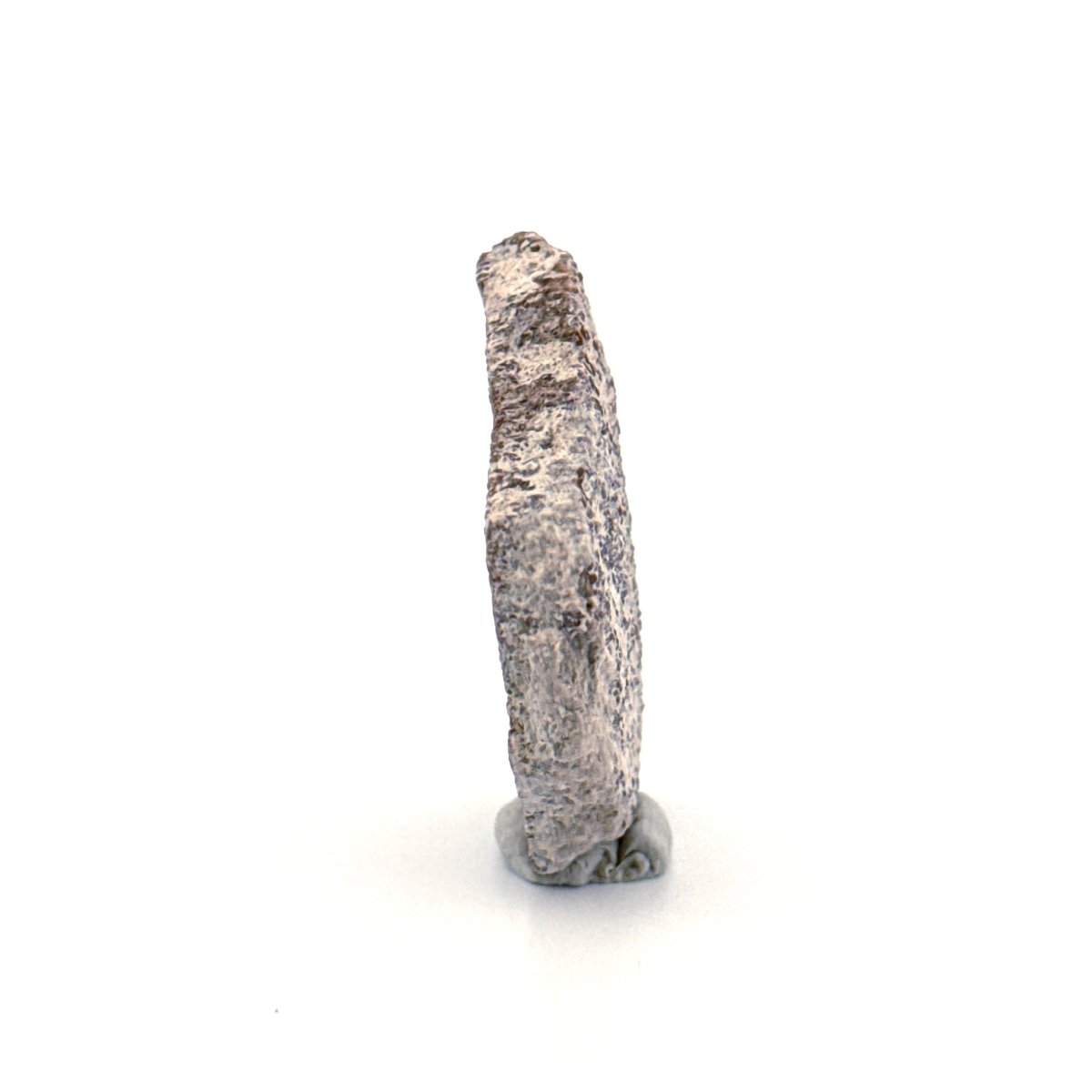 Saltasaurus Dinosaur Eggshell Fossil (1.43") from Cretaceous, Argentina - FossilsAndMore