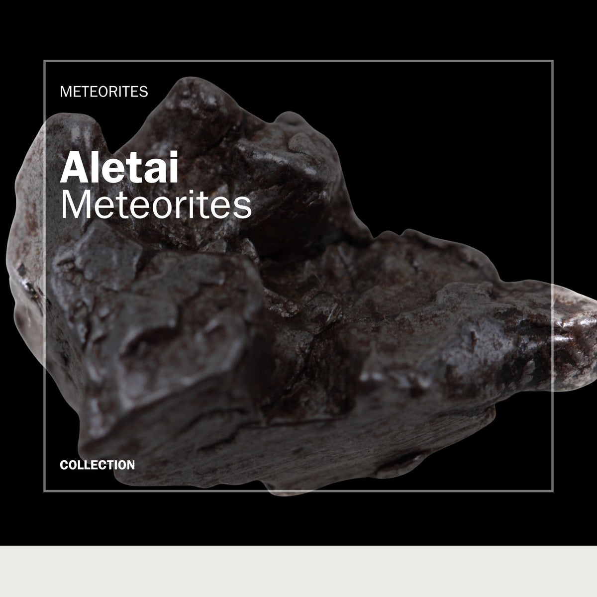 Aletai Meteorite Fragments