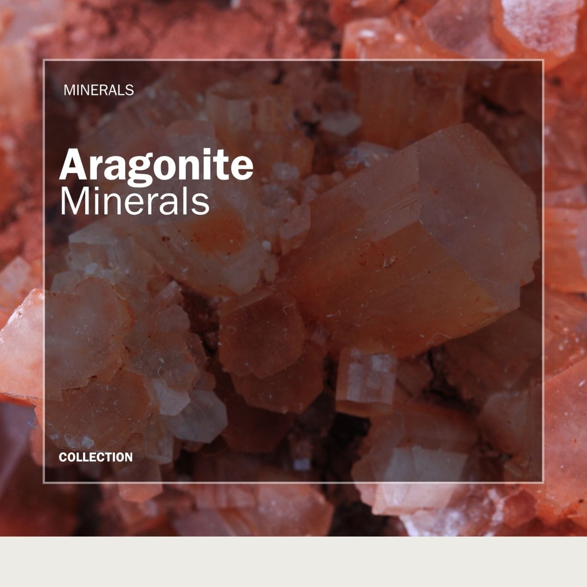 Aragonite Crystals and Mineral Specimens - FossilsAndMore