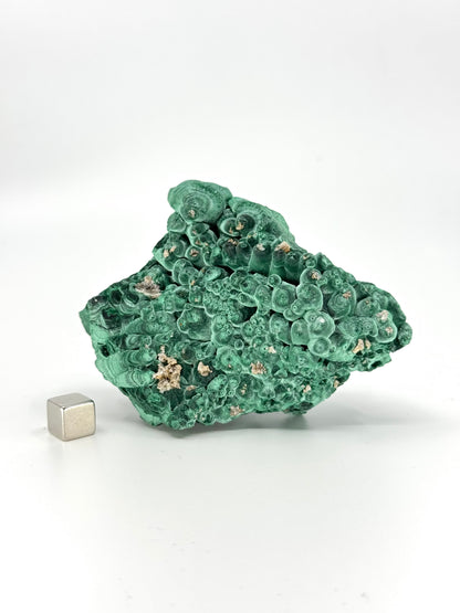 Ruwe malachiet mineraal  (337 Gram) – Natuurlijk kopercarbonaat