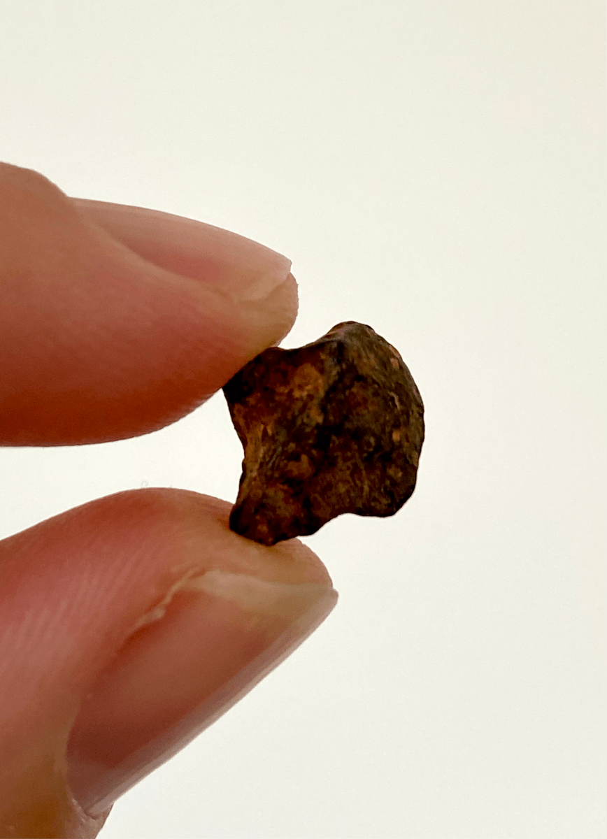 0.50" Agoudal Meteorite fragment - FossilsAndMore