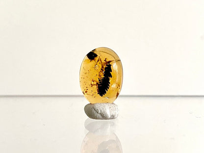 0.65" Burmese Amber with leaf inclusion (burmite amber) - FossilsAndMore