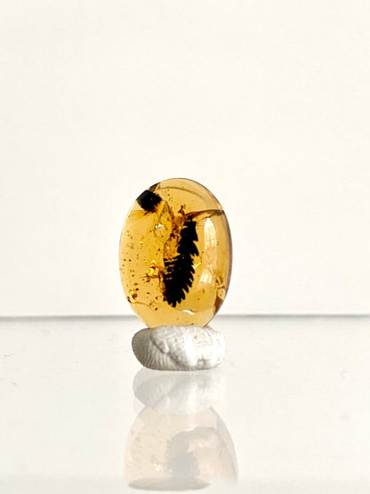 0.65" Burmese Amber with leaf inclusion (burmite amber) - FossilsAndMore