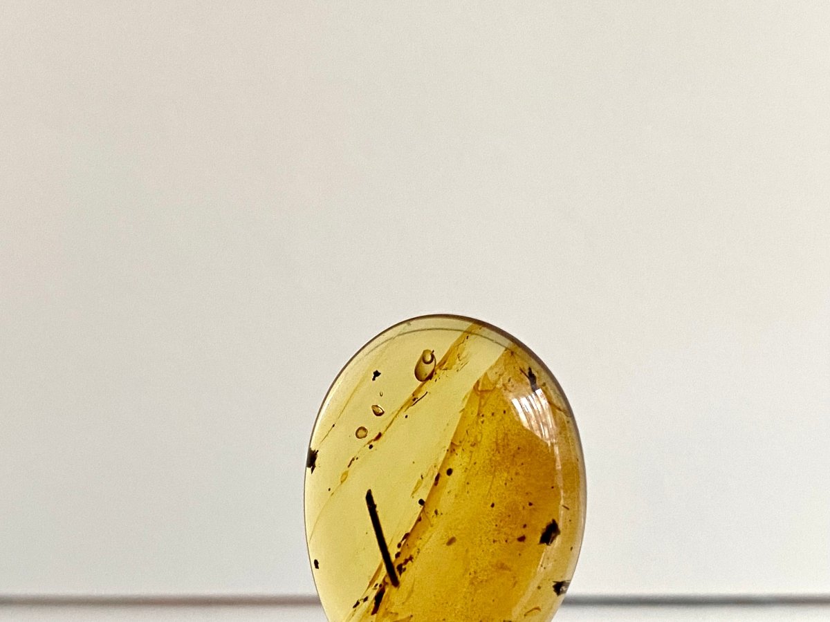0.96" Burmese Amber fossil with an Enhydro Active water bubble (Burmite amber) - FossilsAndMore