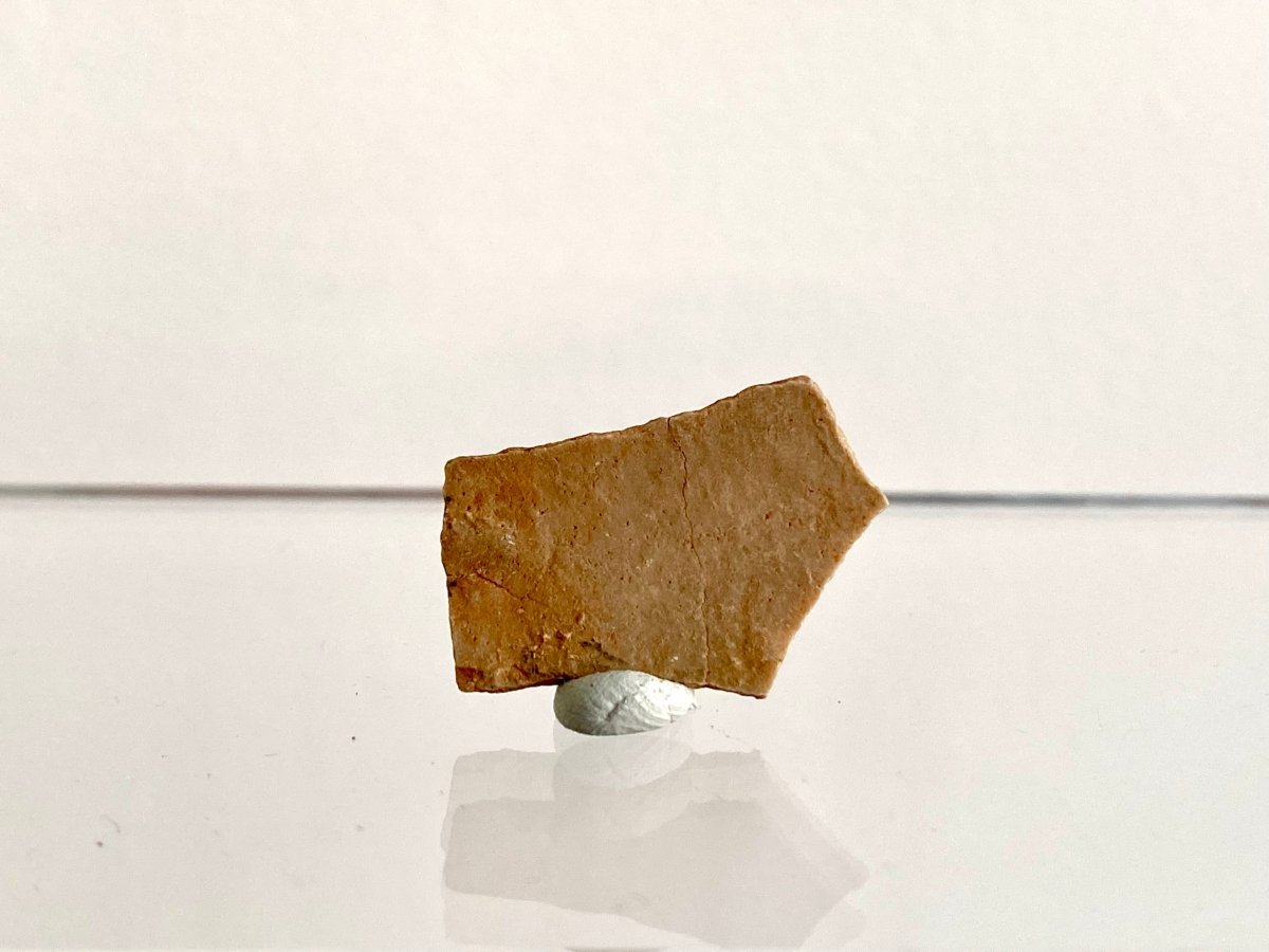1.01" Oviraptor Species, Dinosaur eggshell fossil - FossilsAndMore