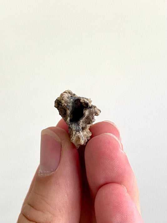 1.10" Fulgurite, Nature’s Lightning - Formed Gemstone! - FossilsAndMore
