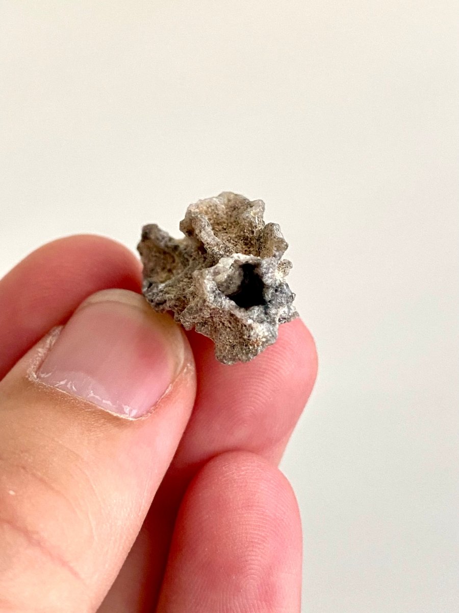 1.13" Fulgurite, Nature’s Lightning - Formed Gemstone! - FossilsAndMore