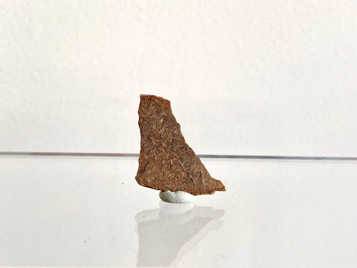 1.15" Oviraptor Species, Dinosaur eggshell fossil - FossilsAndMore