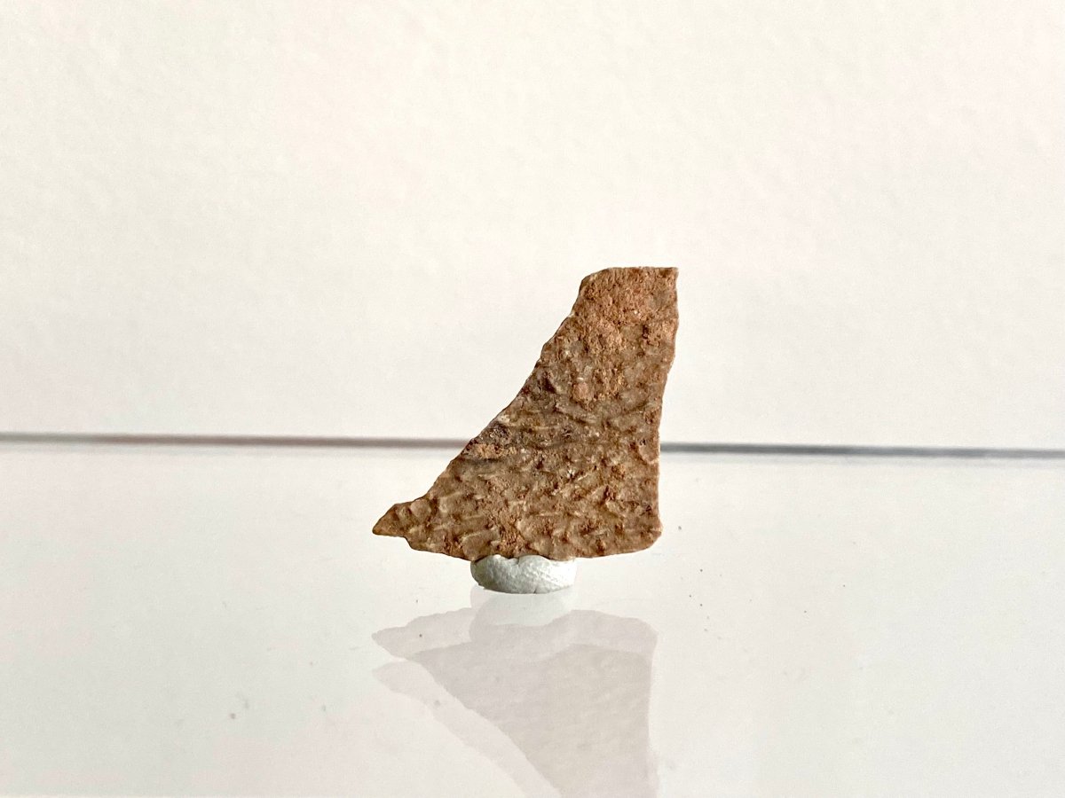 1.15" Oviraptor Species, Dinosaur eggshell fossil - FossilsAndMore