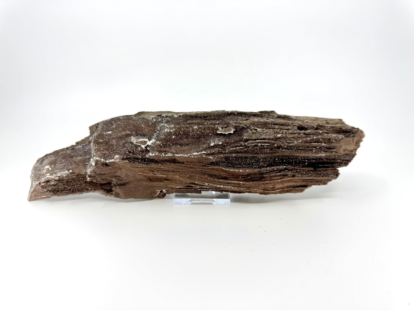 Groot stuk gepermineraliseerd hout bedekt met druzykwarts uit het Eoceen, Duitsland (759 Gram)