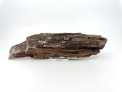 Groot stuk gepermineraliseerd hout bedekt met druzykwarts uit het Eoceen, Duitsland (759 Gram)