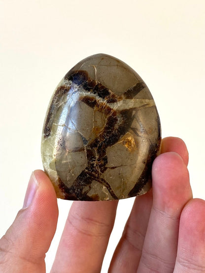 2.33" Septarian sculpture from Madagascar - FossilsAndMore
