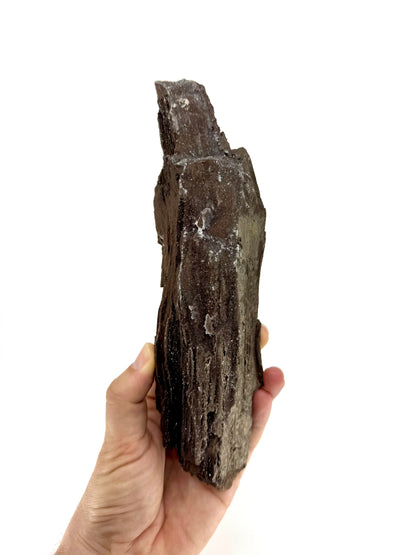 Groot stuk gepermineraliseerd hout bedekt met druzykwarts uit het Eoceen, Duitsland (759 Gram)