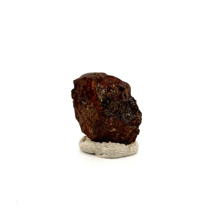 Authentiek ruw Sericho Pallasiet meteorietfragment uit Kenia (0,80 inch)