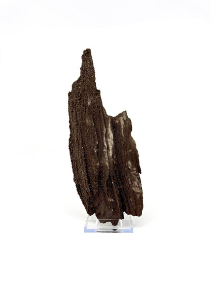 Groot stuk gepermineraliseerd hout bedekt met druzykwarts uit het Eoceen, Duitsland (611 Gram)