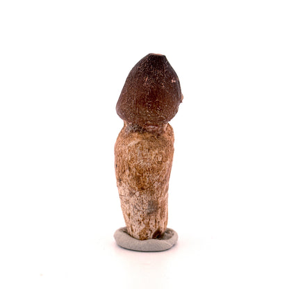 Globidens phosphaticus tooth with natural root from Cretaceous, Morocco (2.39")