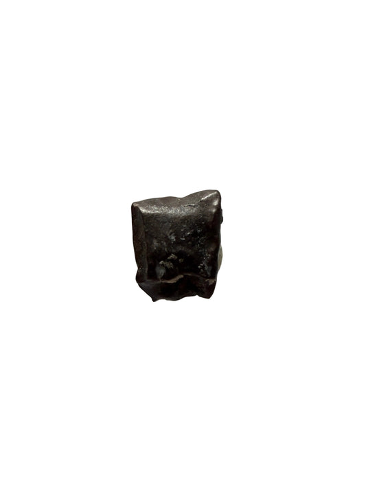 Edmontosaurus Tooth Fragment from Hell Creek Formation | 0.31"