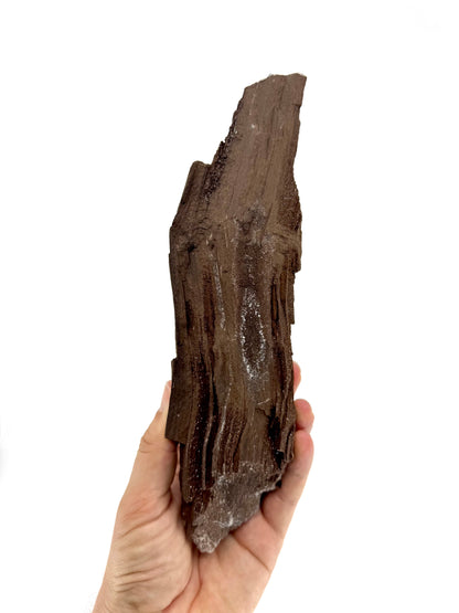 Groot stuk gepermineraliseerd hout bedekt met druzykwarts uit het Eoceen, Duitsland (759 Gram)