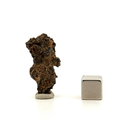 Fulgurite a Natural Glass Formed by Lightning | 1.18"
