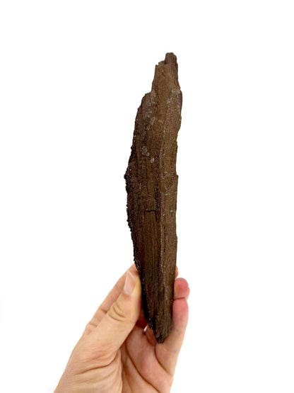 Groot stuk gepermineraliseerd hout bedekt met druzykwarts uit het Eoceen, Duitsland (210 Gram)