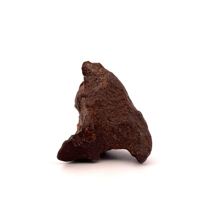 Gebel Kamil Iron Meteorite fragment from Egypt (66 Grams)