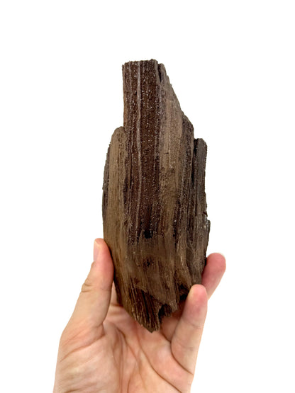 Groot stuk gepermineraliseerd hout bedekt met druzykwarts uit het Eoceen, Duitsland (669 Gram)