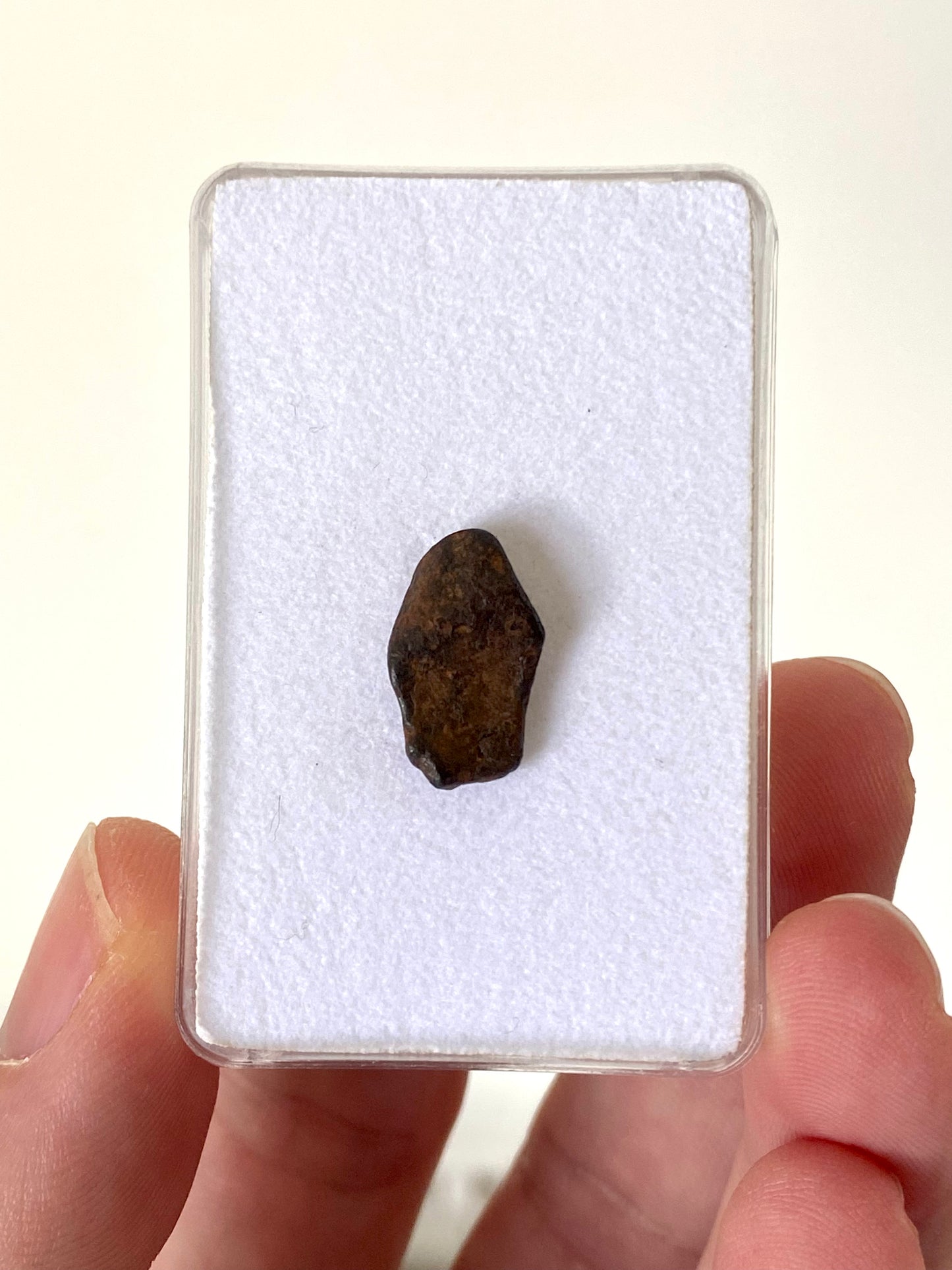 Agoudal Meteoriet fragment (2 Gram) - Marokko
