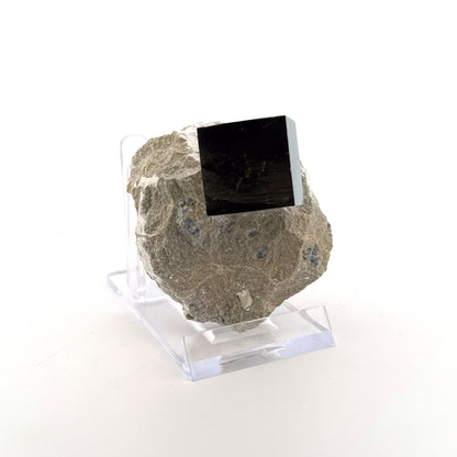 Pyriet op Matrix uit Navajún een Natuurlijk Kubisch Kristal (04)