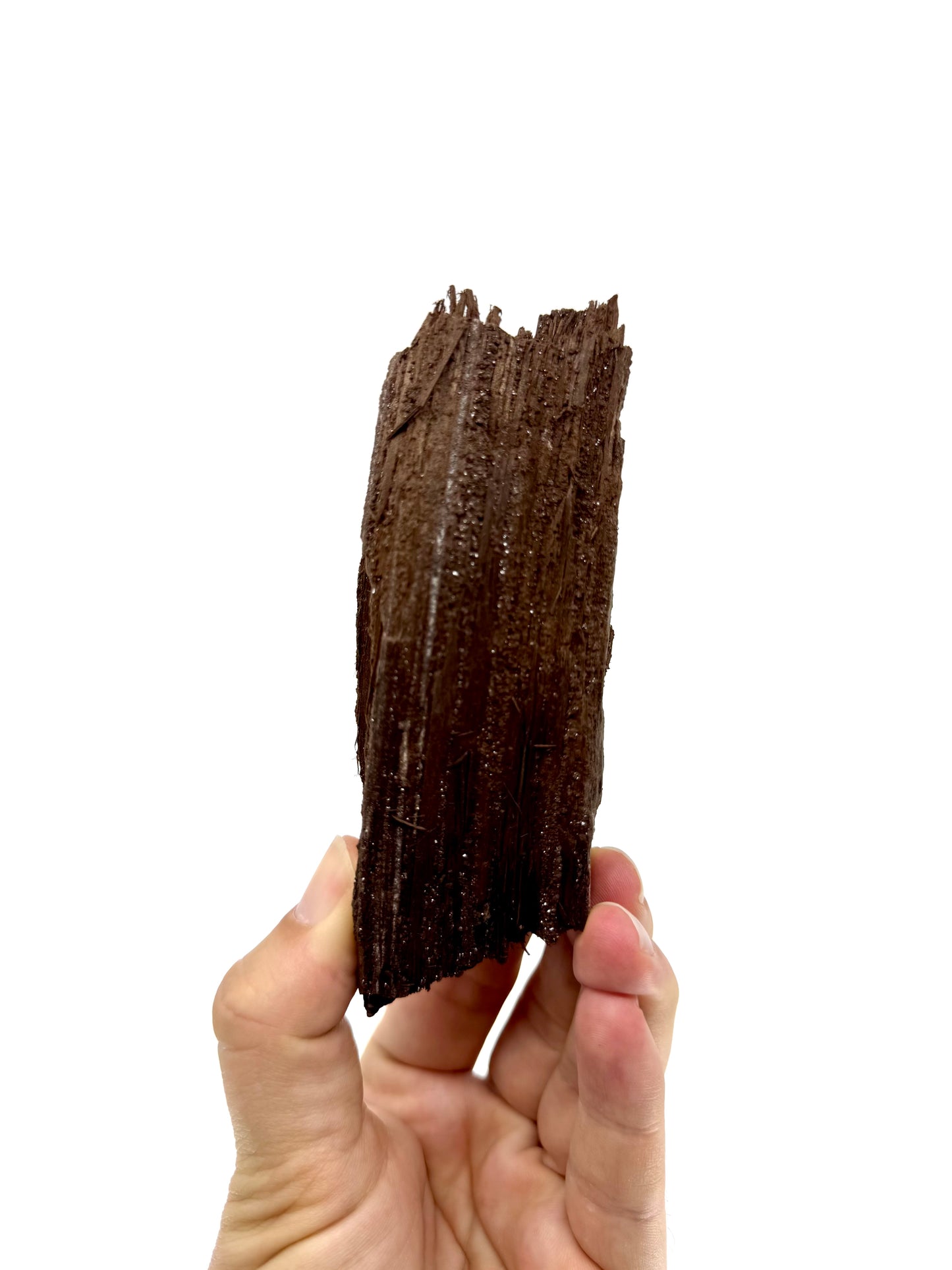 Groot stuk gepermineraliseerd hout bedekt met druzykwarts uit het Eoceen, Duitsland (246 Gram)