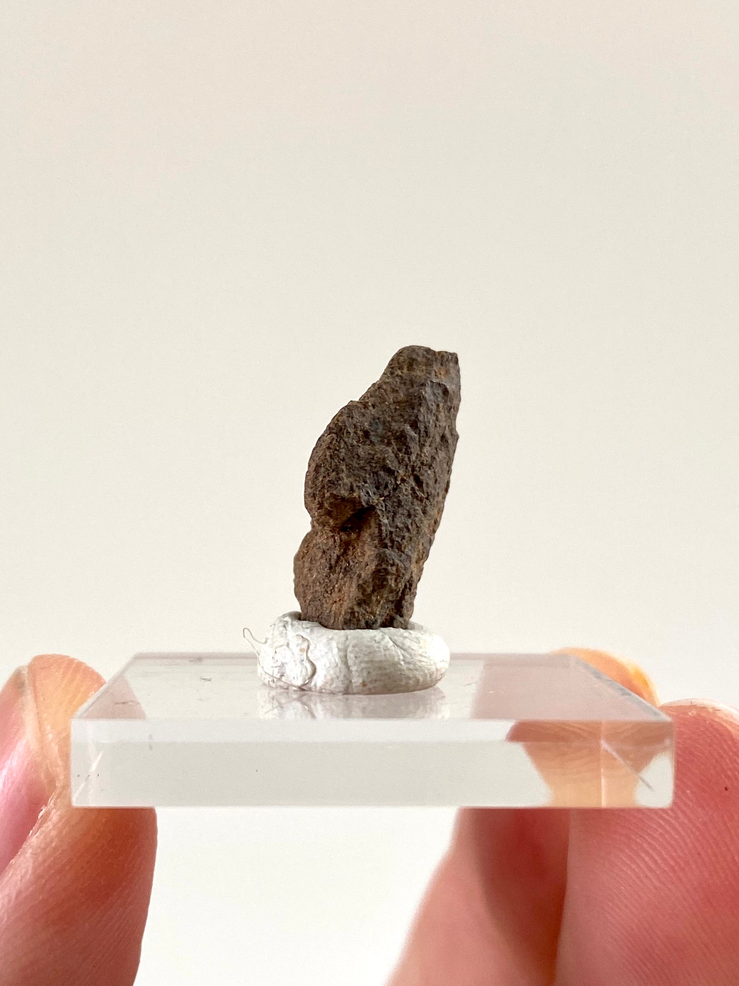 Al Haggouina meteoriet fragment (0,72 inch) - Westelijke Sahara