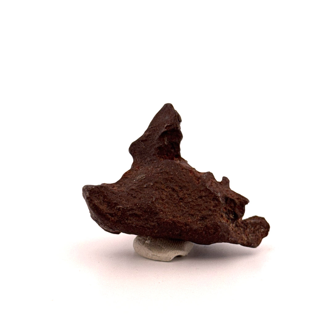 Gebel Kamil Iron Meteorite fragment from Egypt (66 Grams)