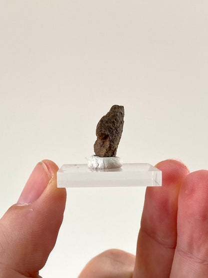 Al Haggouina meteoriet fragment (0,72 inch) - Westelijke Sahara